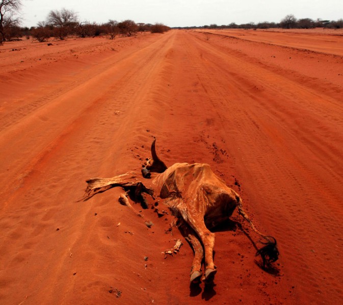 La sequía del este de África conduce la miseria y la carencia de alimentación