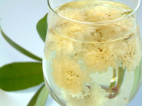 El té de Crisantemo 1