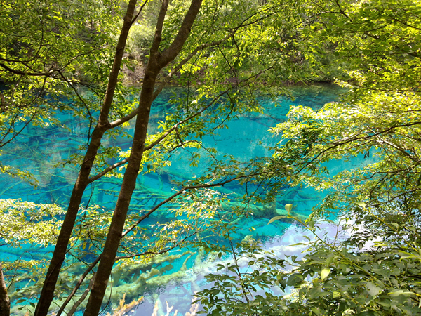 Verano Jiuzhaigou paraíso aguas turquesa 1