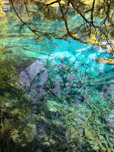 Verano Jiuzhaigou paraíso aguas turquesa 23