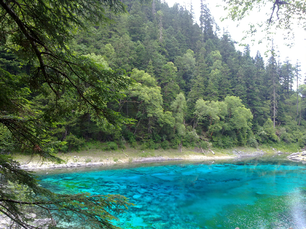 Verano Jiuzhaigou paraíso aguas turquesa 8