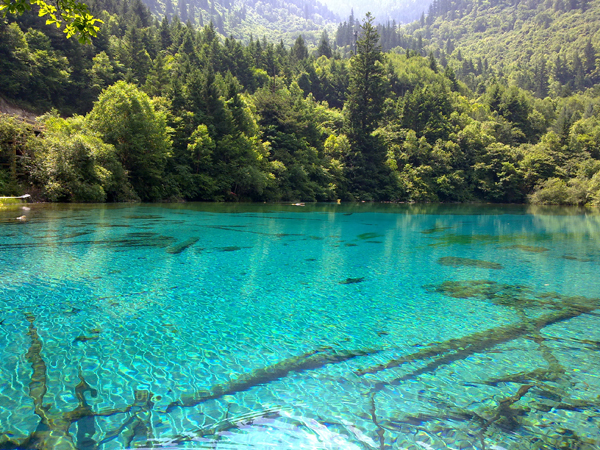 Verano Jiuzhaigou paraíso aguas turquesa 11