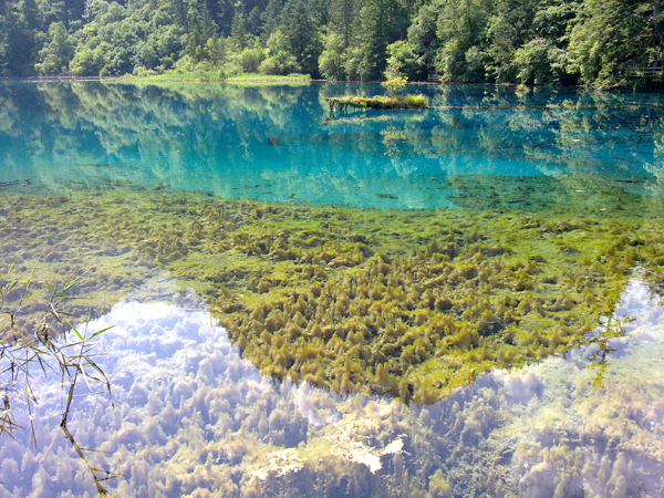 Verano Jiuzhaigou paraíso aguas turquesa 13