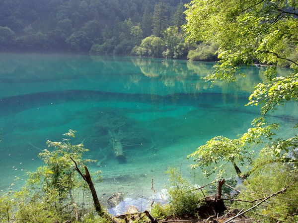 Verano Jiuzhaigou paraíso aguas turquesa 15