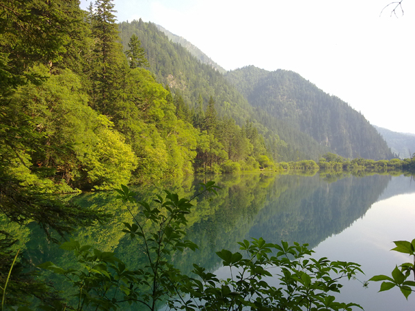 Verano Jiuzhaigou paraíso aguas turquesa ·18