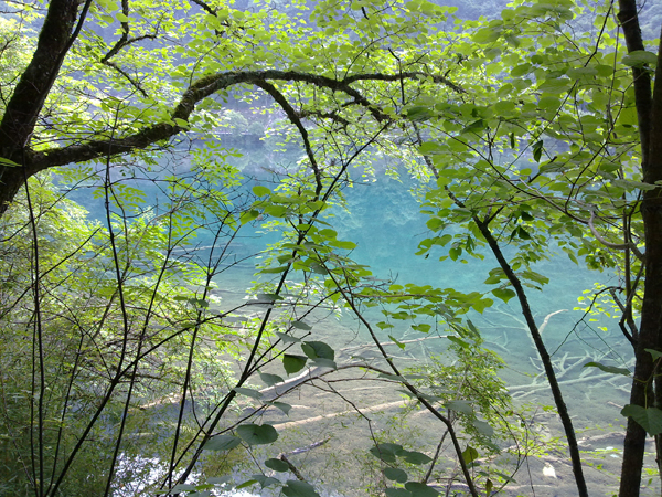  Verano Jiuzhaigou paraíso aguas turquesa 22