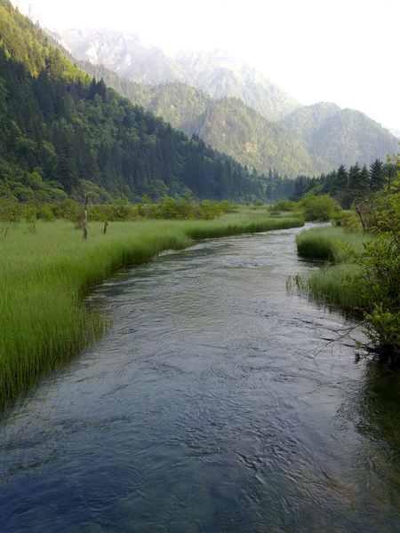 Verano Jiuzhaigou paraíso aguas turquesa 23