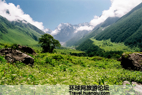 Valle de las Flores Valle de las Flores Himalaya 6