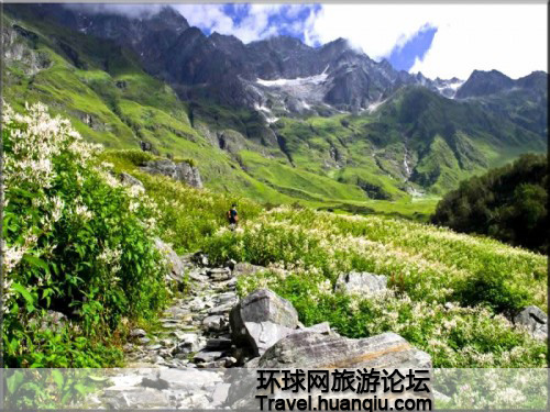 Valle de las Flores Valle de las Flores Himalaya 2