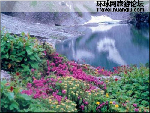 Valle de las Flores Valle de las Flores Himalaya 1