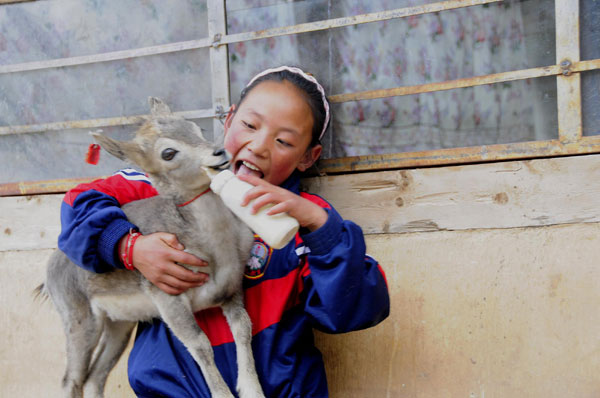 Niña tibetana , vida, Tíbet, turismo, Qinghai