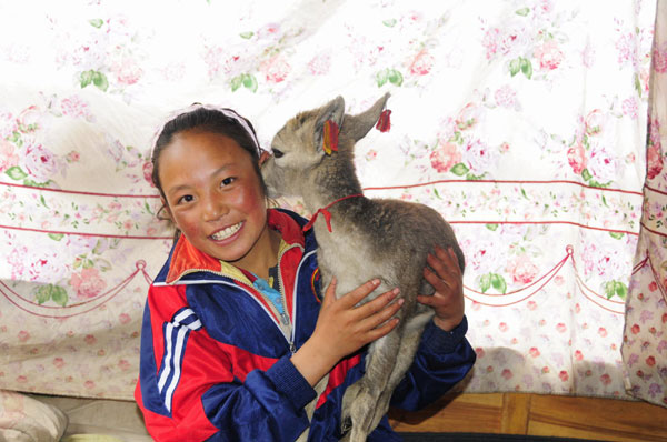 Niña tibetana , vida, Tíbet, turismo, Qinghai