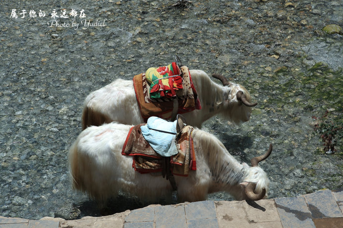 valle luna azul mundo puro fabuloso Yunnan 4