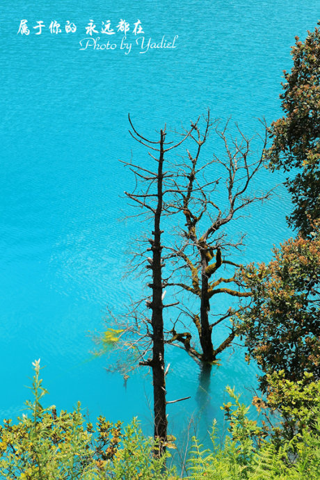 valle luna azul mundo puro fabuloso Yunnan 6