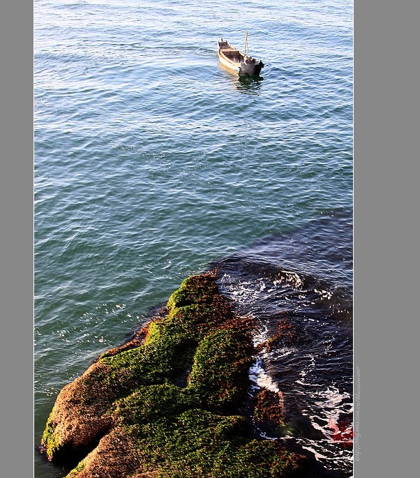 El archipiélago Changdao, parada obligada de aves migratorias 8