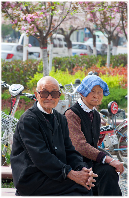 Ocho rarezas de la llanura de Guanzhong 17