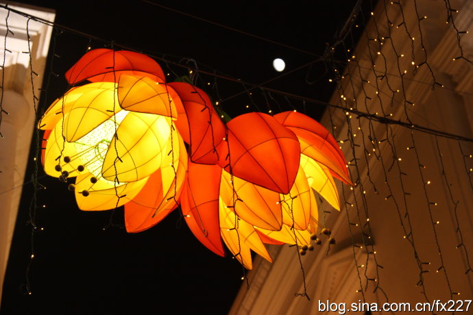 Iluminan linternas en Macao con motivo del Festival de Medio Otoño 3