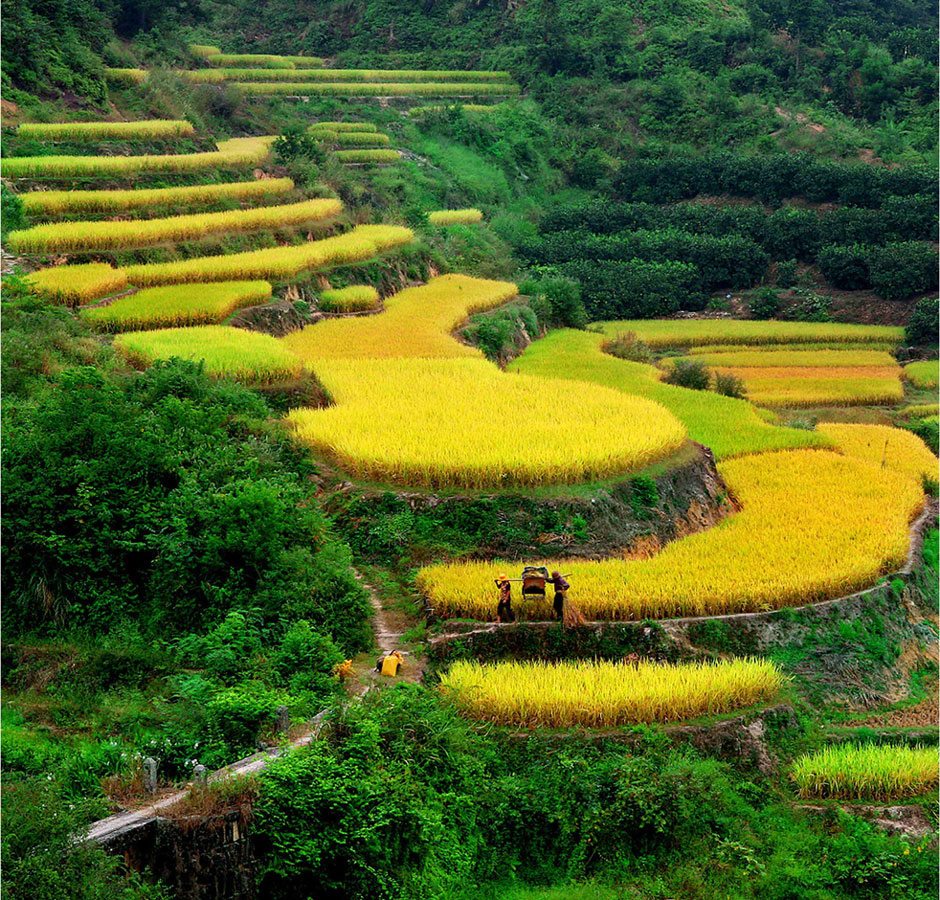 Meizhou sabiduría milenaria Hakka procedencia 11