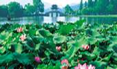 Hangzhou, paraíso terrenal no sólo para chinos 