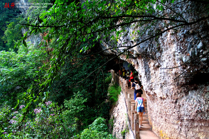 El monte Qingcheng, paraíso taoísta de Sichuan 32