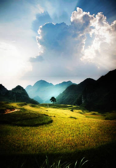 los bosques más hermosos de China q1