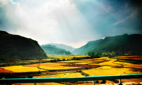 los bosques más hermosos de China 2