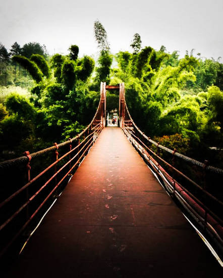 los bosques más hermosos de China 4