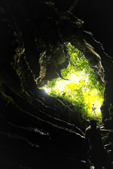 los bosques más hermosos de China 5