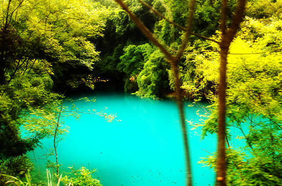 los bosques más hermosos de China 8