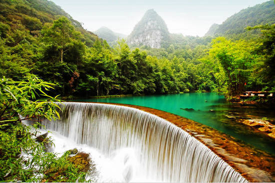 los bosques más hermosos de China 9