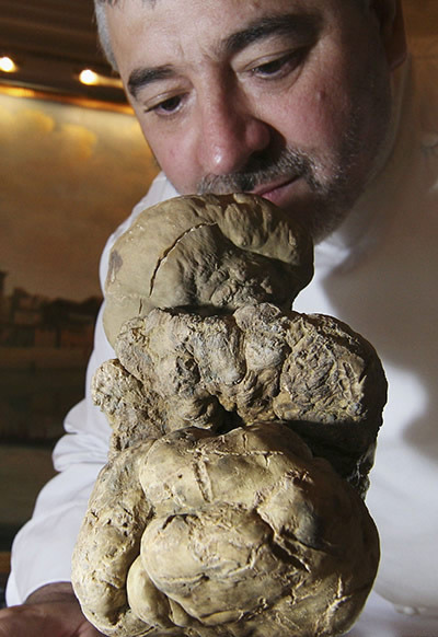 Las verduras más gigantes