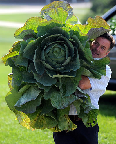 Las verduras más gigantes