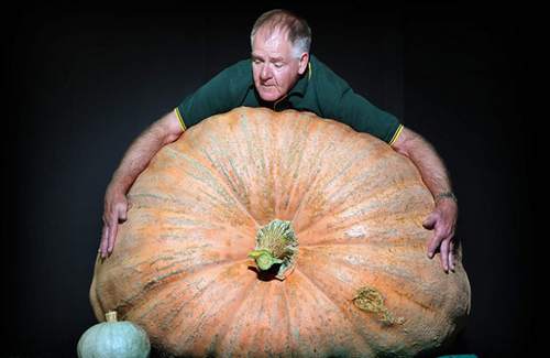 Las verduras más gigantes