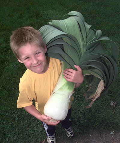 Las verduras más gigantes