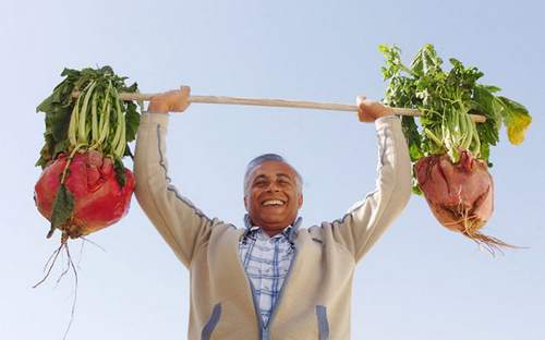 Las verduras más gigantes