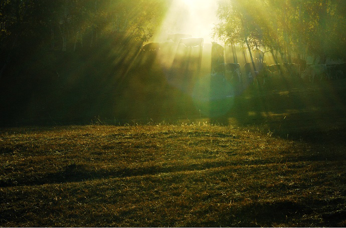 Paisaje bajo el sol otoñal de Wulanbutong 3