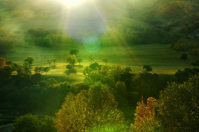 Paisaje bajo el sol otoñal de Wulanbutong 5