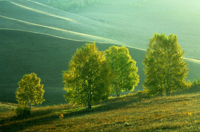 Paisaje bajo el sol otoñal de Wulanbutong 7