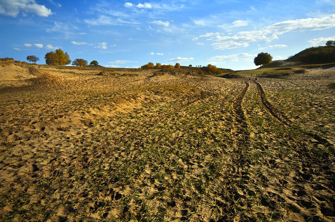 Paisaje bajo el sol otoñal de Wulanbutong 12