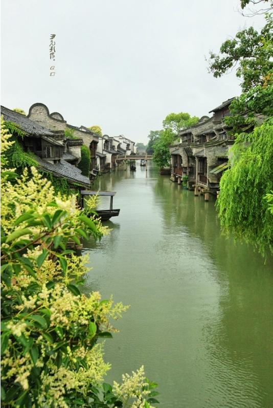 Wuzhen, un sueño del agua 9