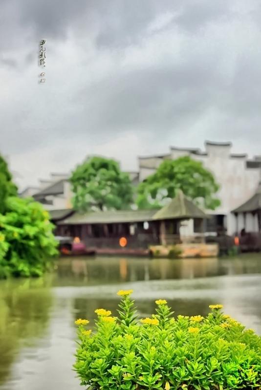 Wuzhen, un sueño del agua 11