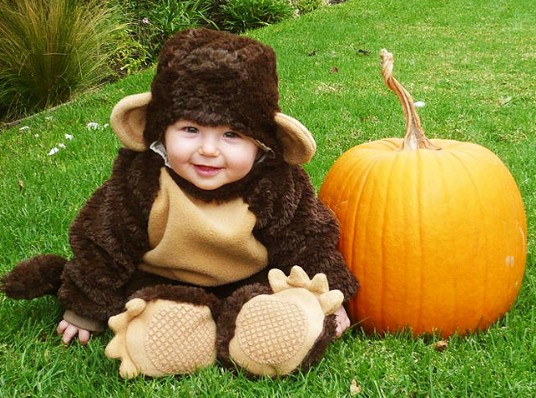 Trajes divertidos de los bebés ,Halloween,bebé precioso, bebé divertido
