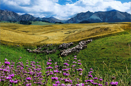 Los encantos de Xinjiang 2