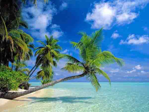 Diez viajes auténticos por China en 2012: Provincia de Hainan 3