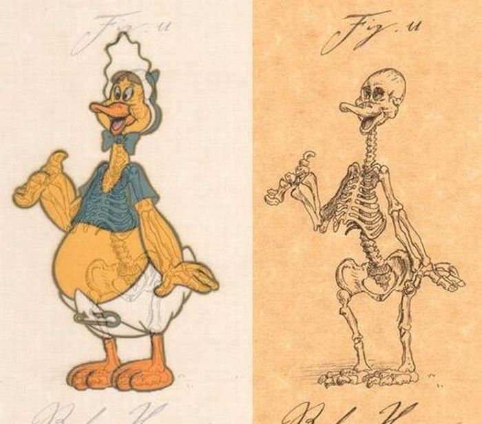 Estrellas de dibujos animados en el esqueleto 6