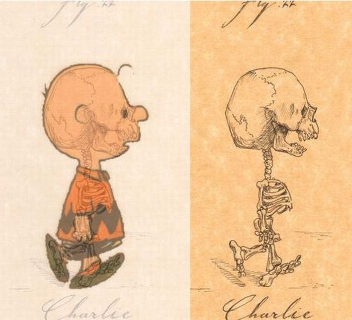 Estrellas de dibujos animados en el esqueleto 7