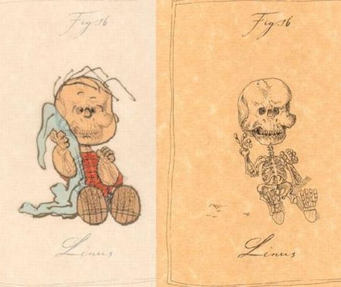 Estrellas de dibujos animados en el esqueleto 9