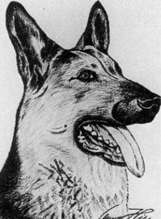 Adolf Hitler, ¿fascista o pintor?
