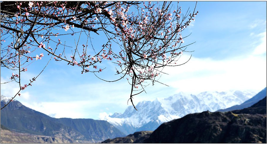 El paisaje increíble en Nyingchi, Tíbet 3