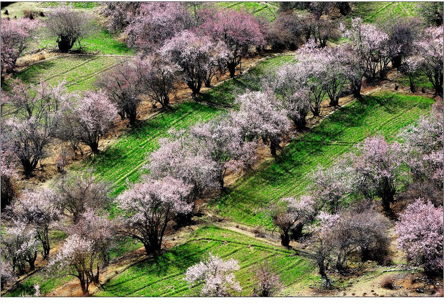 El paisaje increíble en Nyingchi, Tíbet 9